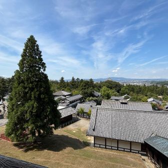 東大寺と修復中の興福寺がちょっとだけ見える