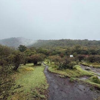 荒山が見えてきた😁