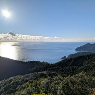 南東。ナサ崎（中右側）カラカマノ鼻（その斜め右上）