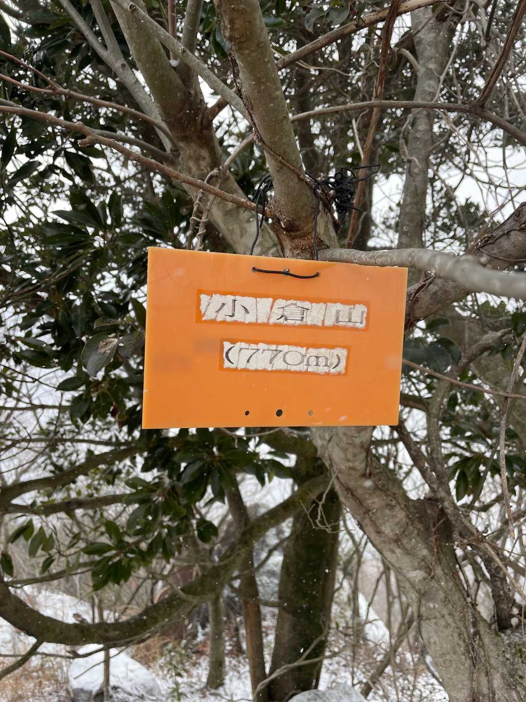 小倉岳に到着(^^)b