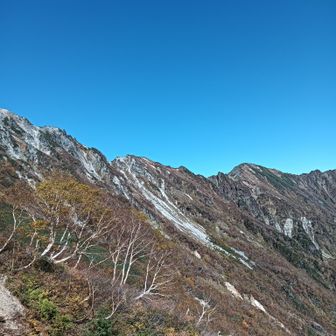 中間部の赤沢岳、鳴沢岳か…→