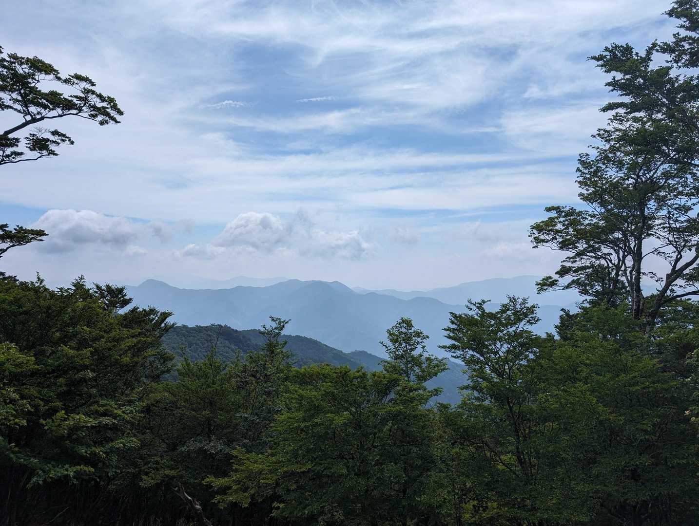 小川岳 往復コースの写真