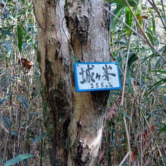 城ヶ峯の山名板