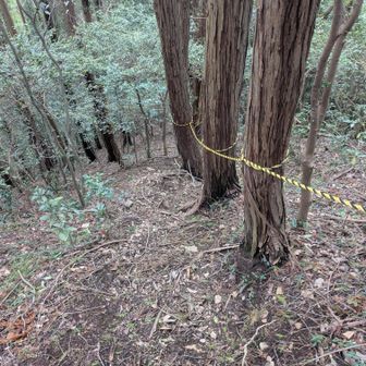 ロープが出てくるところも
この辺にヘビがいた🐍