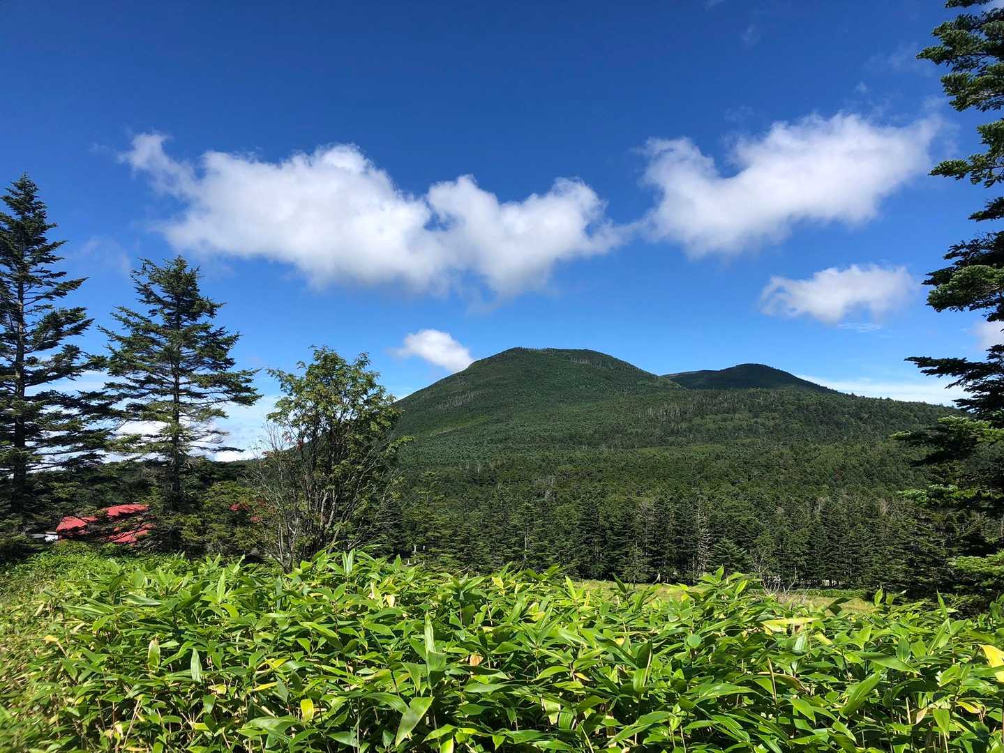 麦草峠-ニュウ 往復コースの写真
