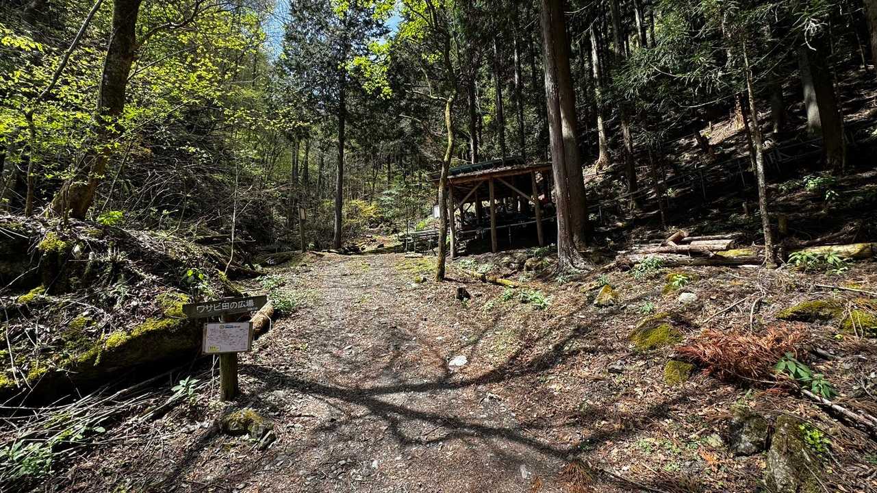 御前山 の写真 38
