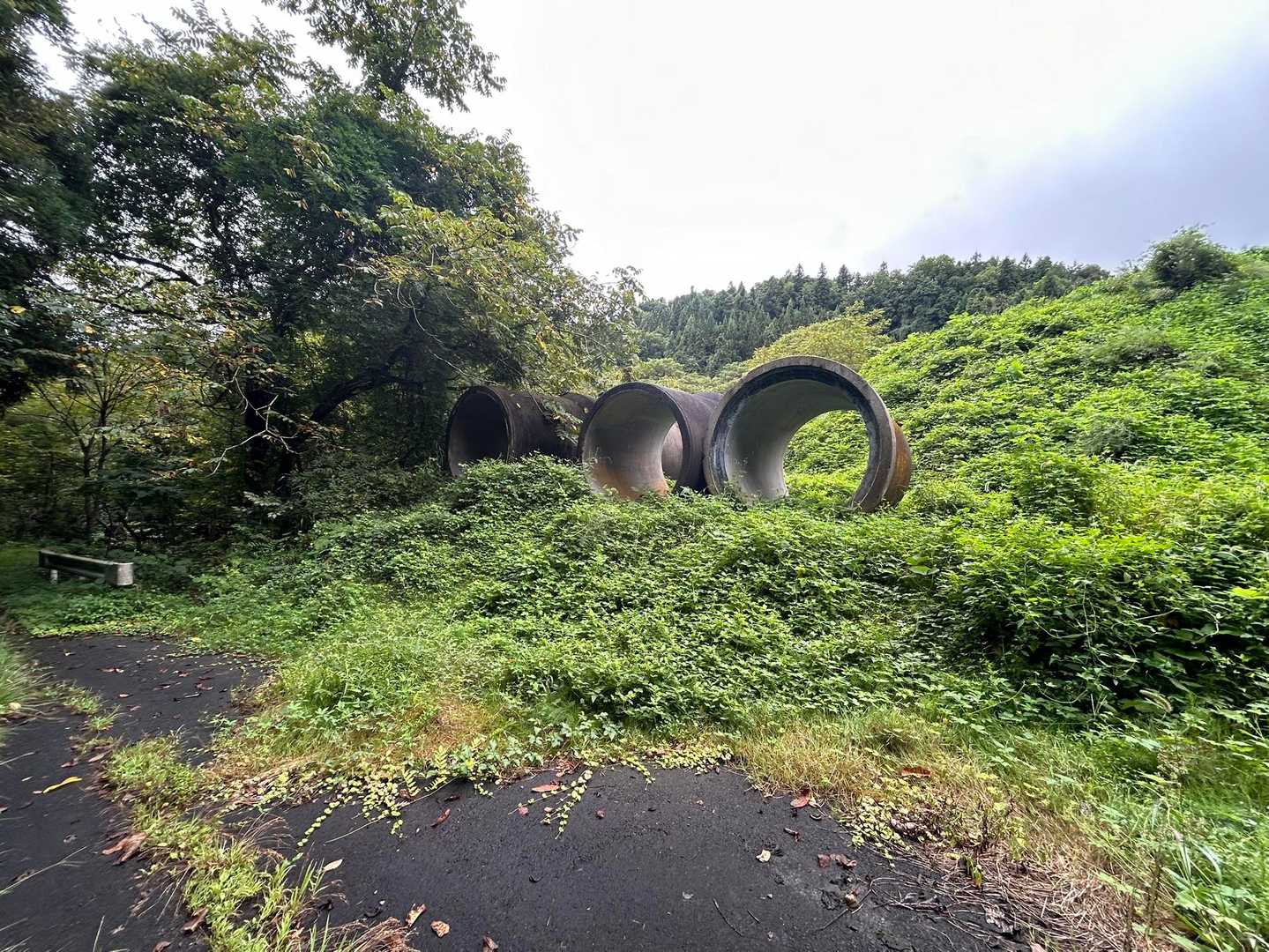 富神山 往復コースの写真