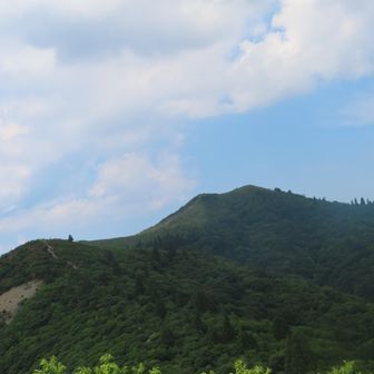 御殿山からの武奈ヶ岳、武奈ヶ岳は今日一日上機嫌でした。