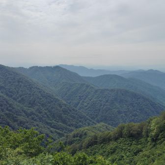 山側