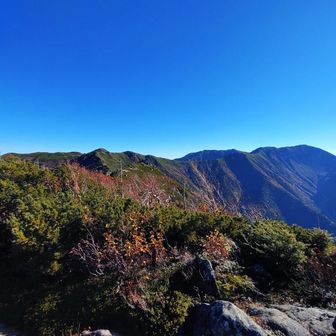 なだらかな稜線　北アルプスとは趣きが違いますね🤔　低山からアルプスに挑戦される方は、中央アルプスから始められるのが良いと思います👍　私でも登れましたしね😊　いきなり北アルプスは…⚠️
