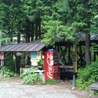 が、最寄りの駒ヶ根ICはおろか、ボケ〜っと伊那・辰野付近まで車を進めてしまった。
