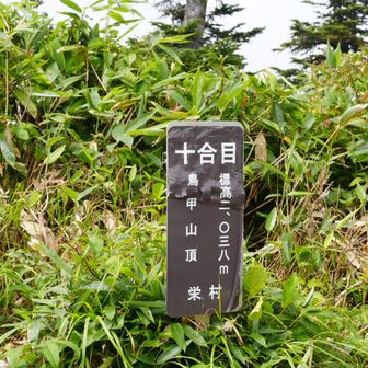 鳥甲山登頂‼️