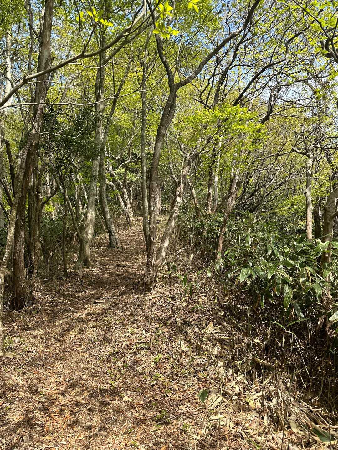 良い道だけど…鎖場は⁉️