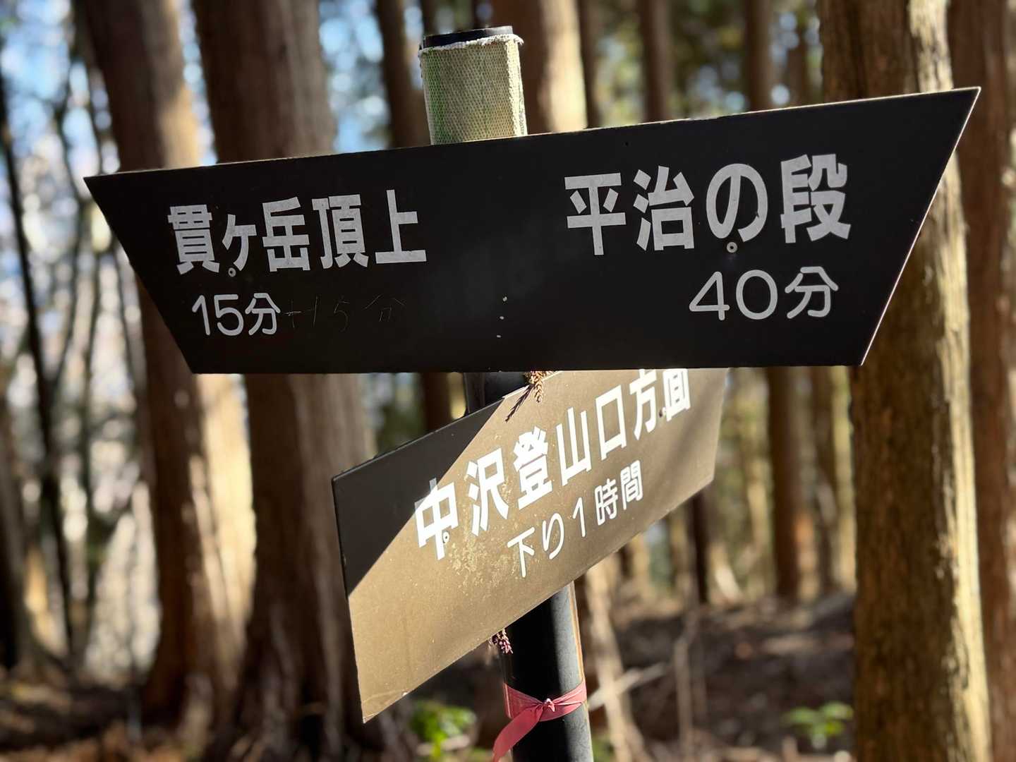 貫ヶ岳-平治ノ段 往復コースの写真