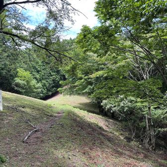 こっちが山頂方面