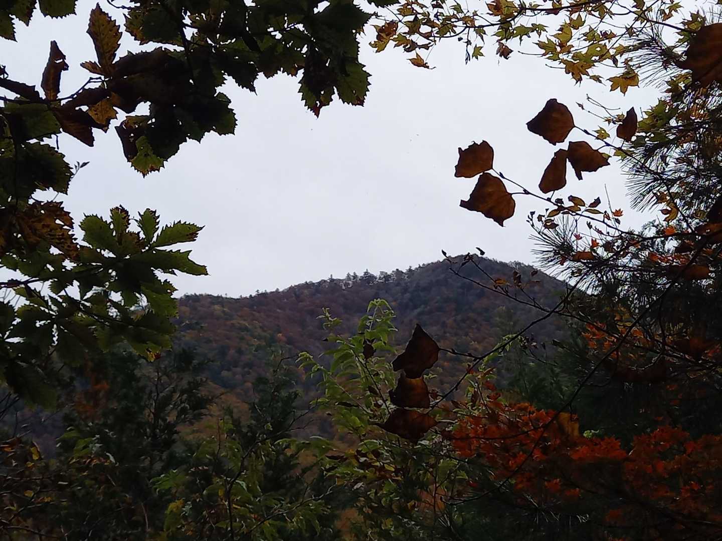 黒岳
おつかれ山