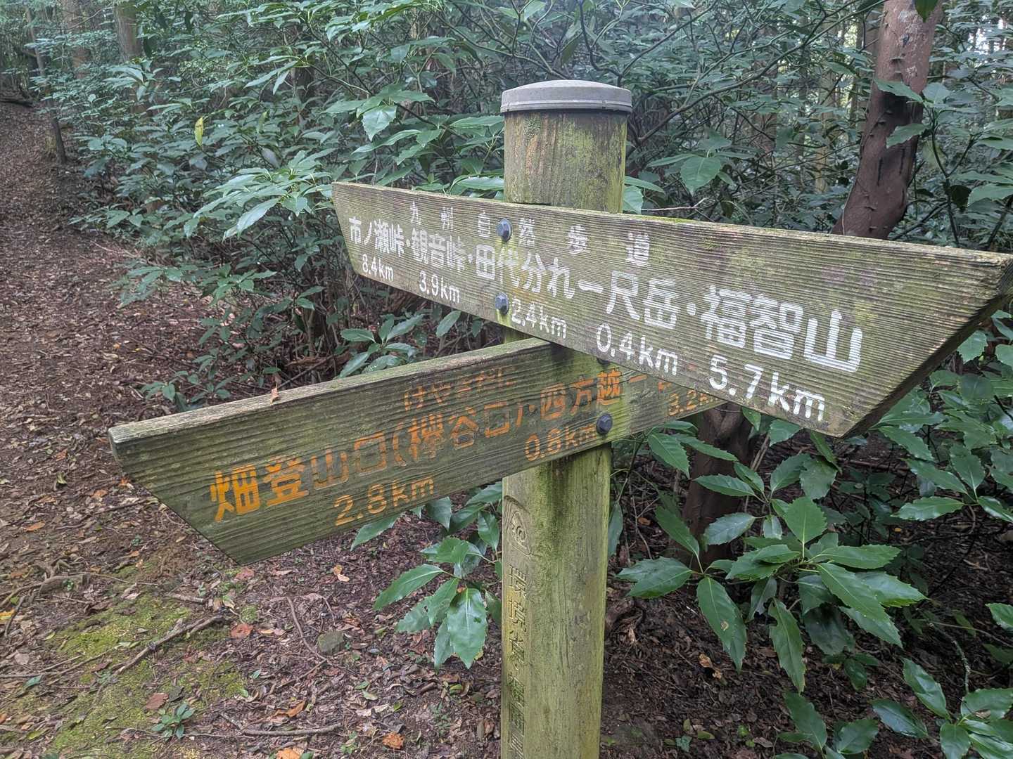 ここを左に下るのが正解なのでしょうが、ガレ場も苦手なので直進して迂回します