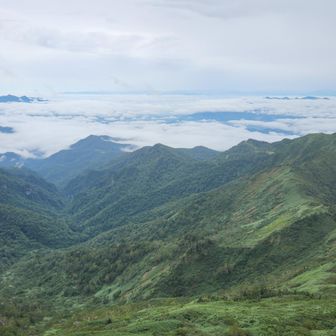 途中で折返す予定改め、一旦山頂まで回ることにする