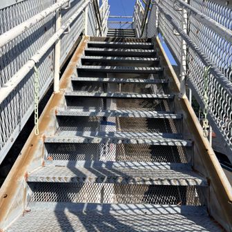 そうそう
どうやってメンタル強化するのって⁉️

最近
ツボってるネコ名言🐈で解説すると…