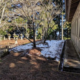 神社の境内の一部に雪が残ってました。