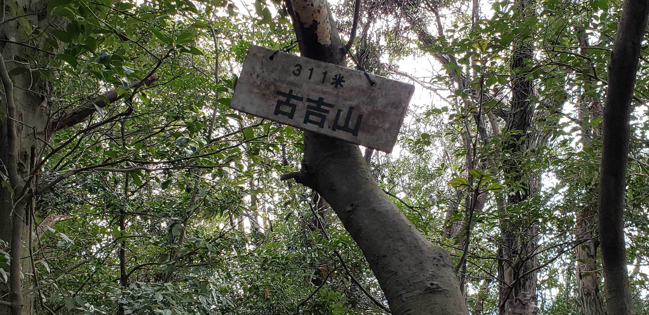 山頂
