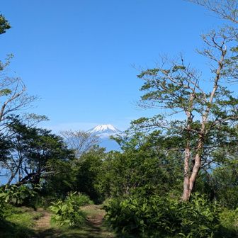 檜洞丸からの富士山🗻