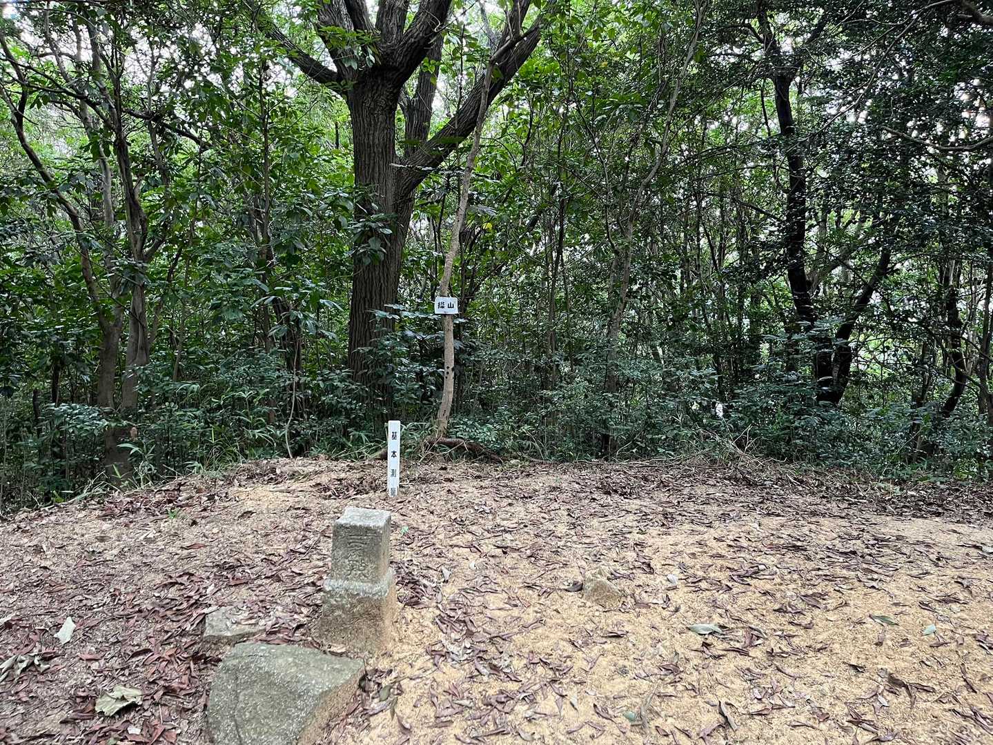操山-やすらぎの裏山入山口 縦走コースの写真