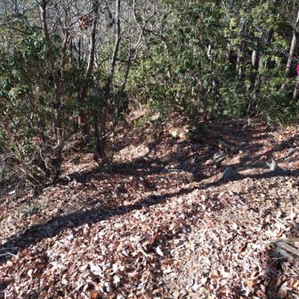 山頂直下はザレ気味の急傾斜を下る。