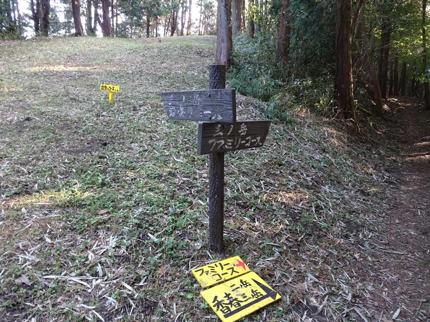 岩登りコースとファミリーコースの分岐点。ここは岩登りコースへ。
