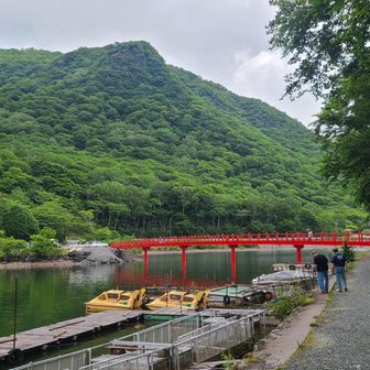 啄木鳥橋