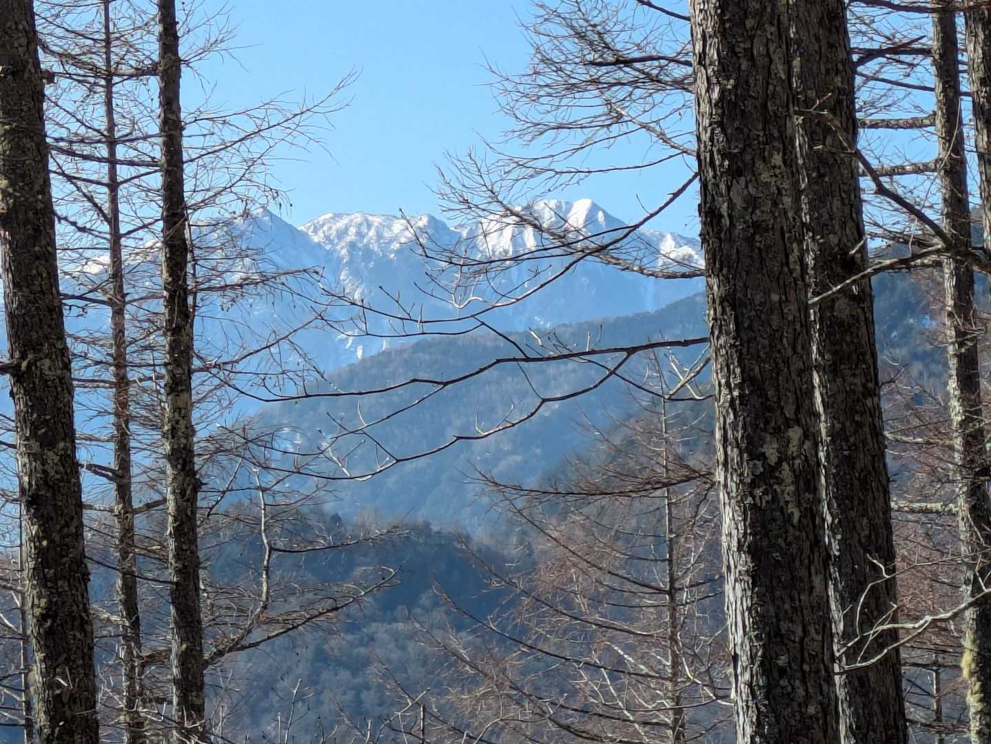 ホクギノ平
樹間から鳳凰三山👍