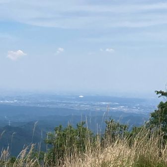 東側の木も伐採されて西武ドーム、都内方面がよく見えます
