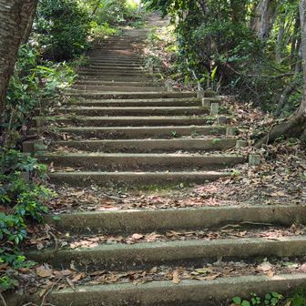 私の嫌いなモノ
それは終わりの見えない階段