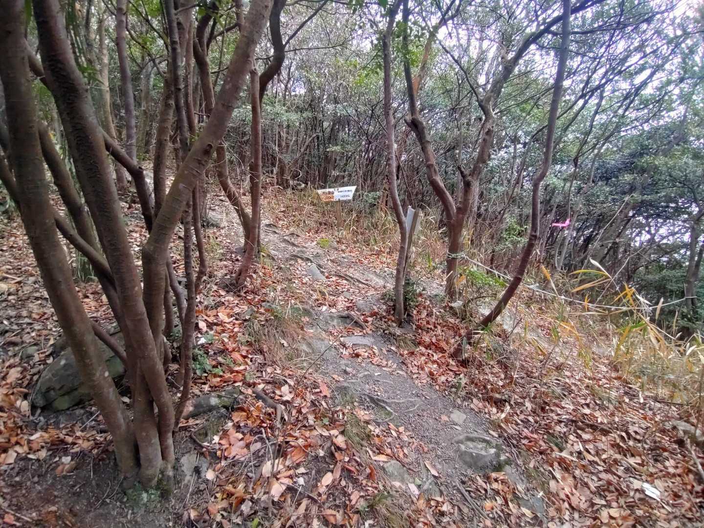 西インターからのルートと合流