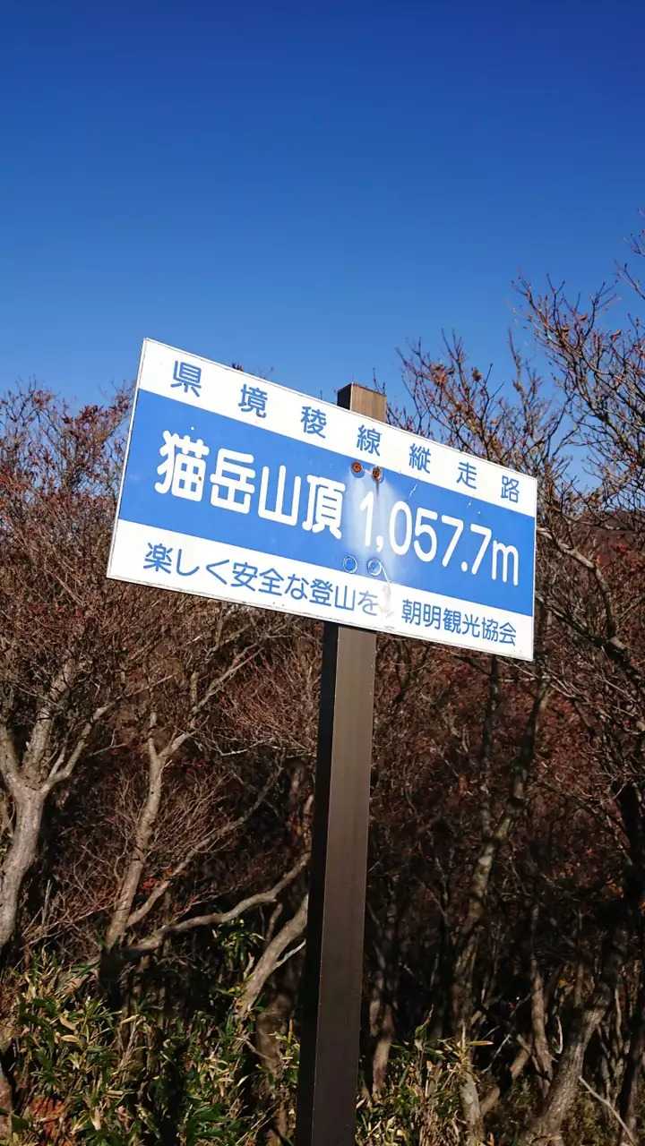 猫岳の写真