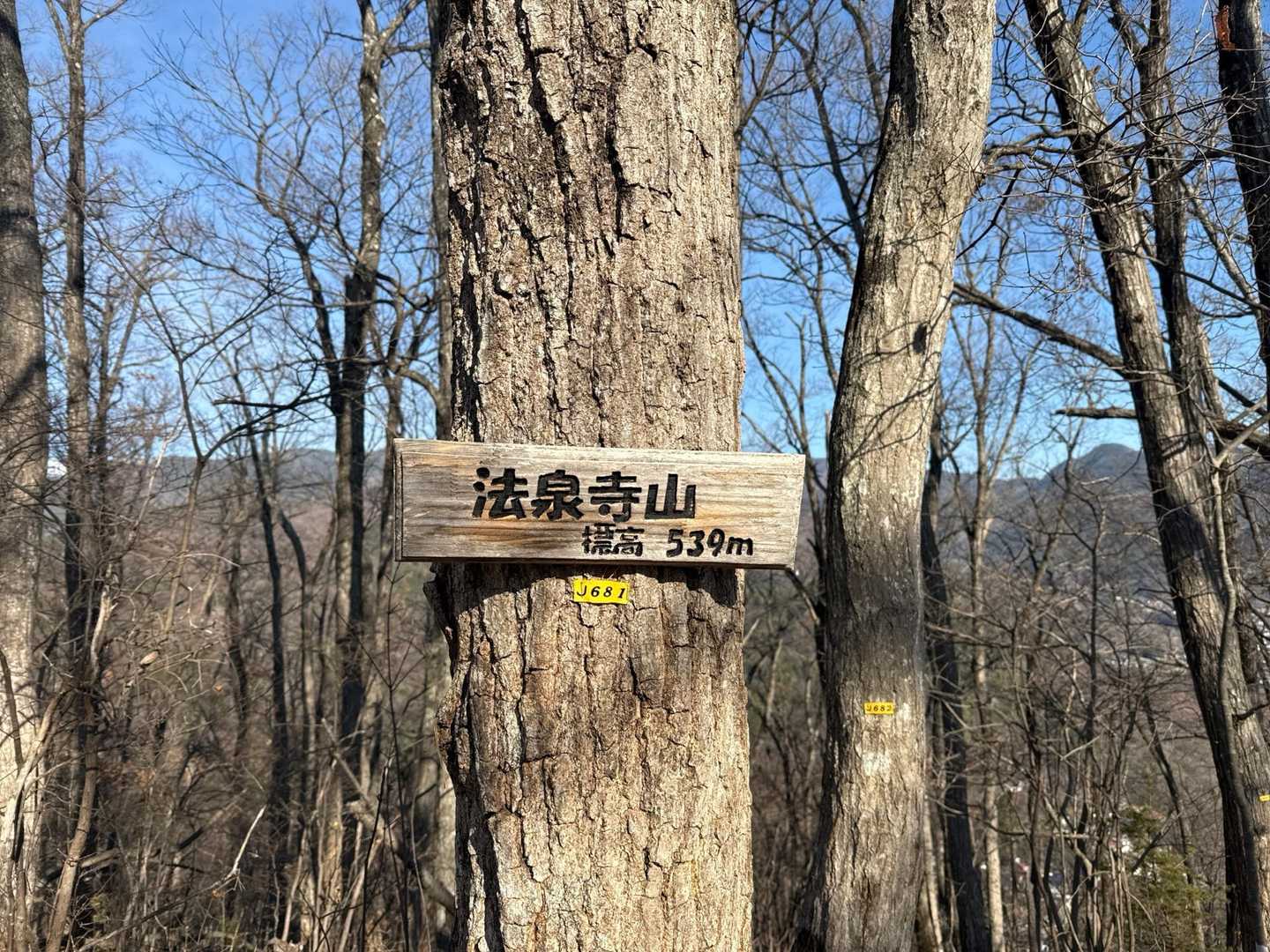 ちょっと足を伸ばして法泉寺山まで行きました