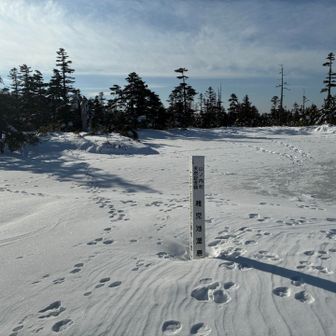 稚児池湿原の標識
アニマルトレースがいっぱい🐾