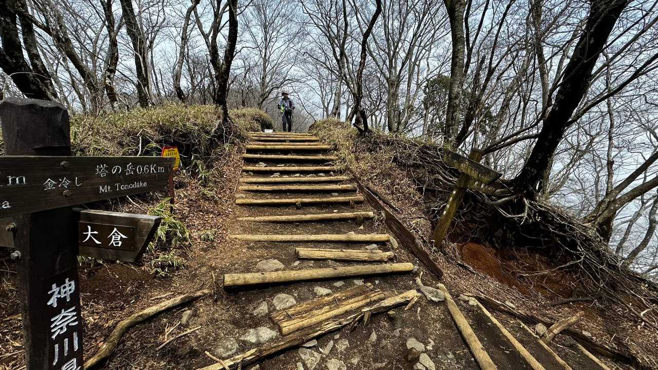 鍋割山・塔ノ岳・烏尾山縦走 の写真 29