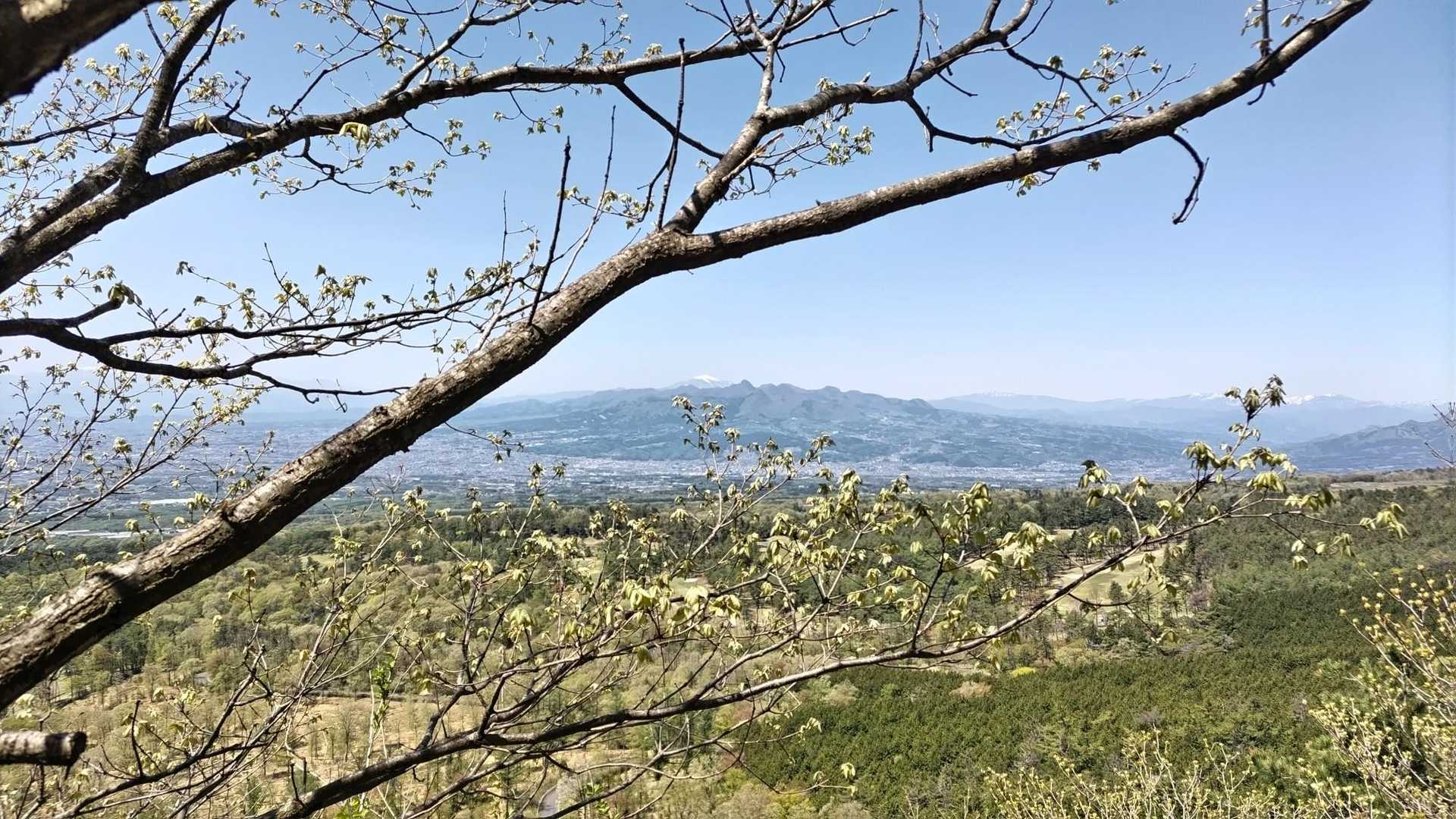 榛名山
中央奥には雪を被った浅間山
この場所からは榛名山と浅間山が重って見えるのが新鮮
昨日の雨が山々では雪を降らせたらしい…空の青と雪を纏った山の白のコントラストが綺麗だ🎶