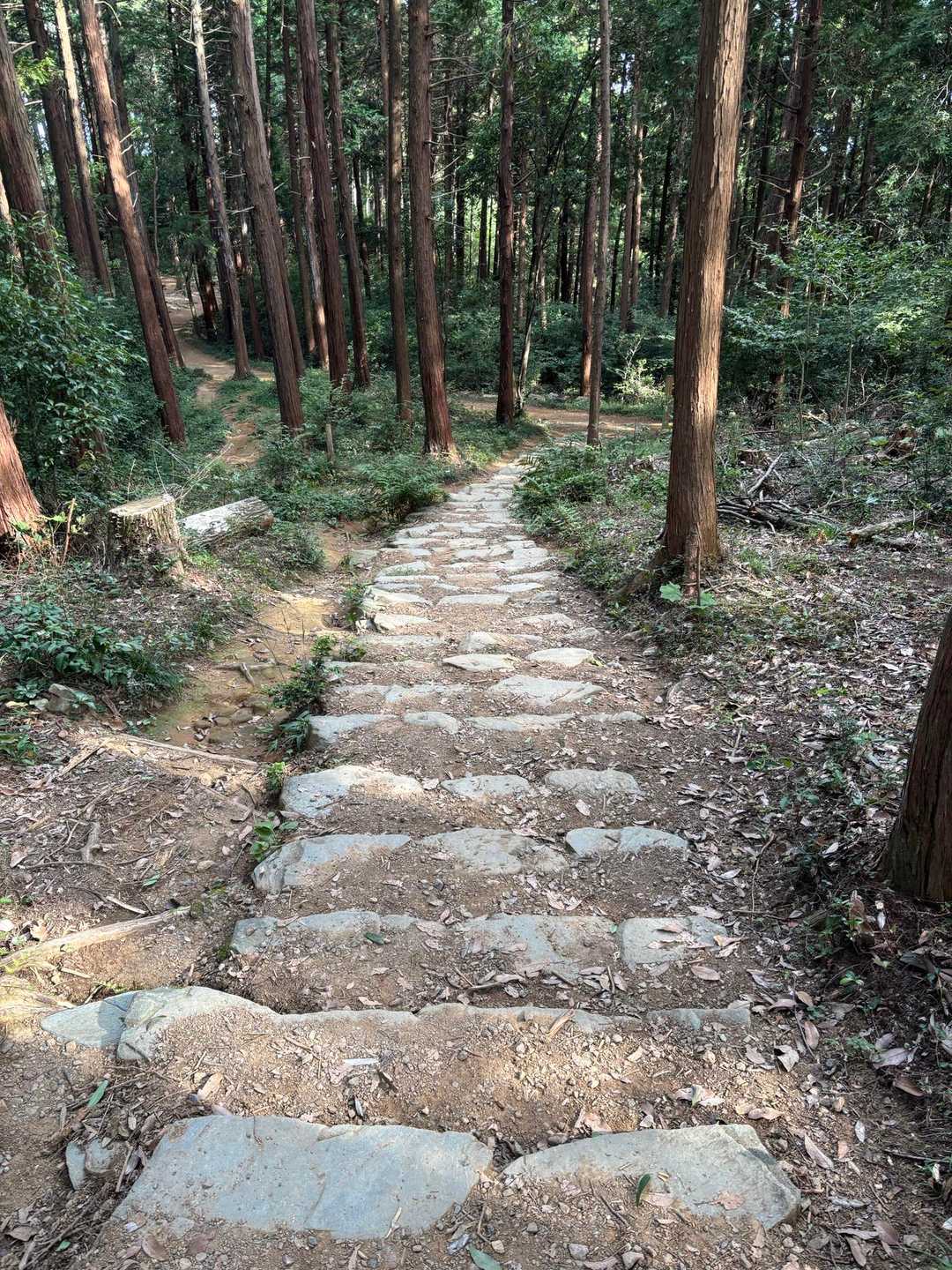 階段続きます💦