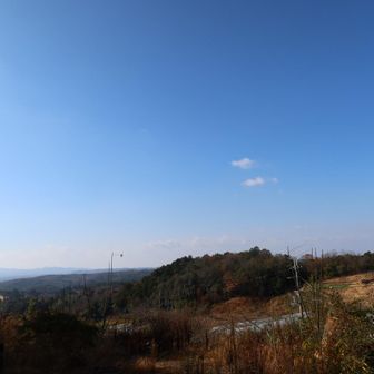 振り返ると展望