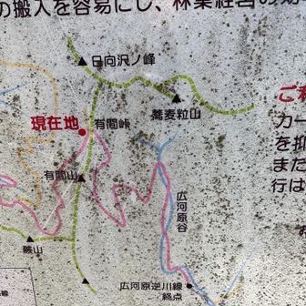 ここから蕎麦粒山へ行けるのに一度広河原谷へ降りる