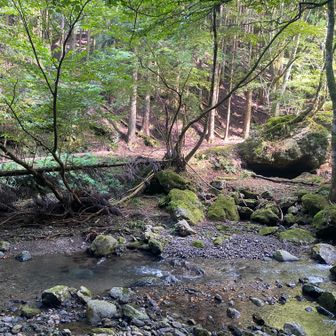 江賀谷林道終点
ここで川を渡って林道に合流しました。