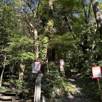 横手道を30分歩いて