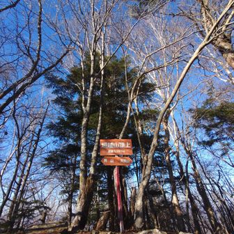 またまた通過。
ここに着く前にスライドしたご夫婦？にクッションの事を尋ねると、登山道の真ん中に落ちてたから道の脇に移動させた、との証言が☝️