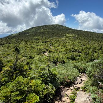 梵天岩を越えると西吾妻山のピークが見えてきました⛰️緩い起伏の岩道を歩いていきます