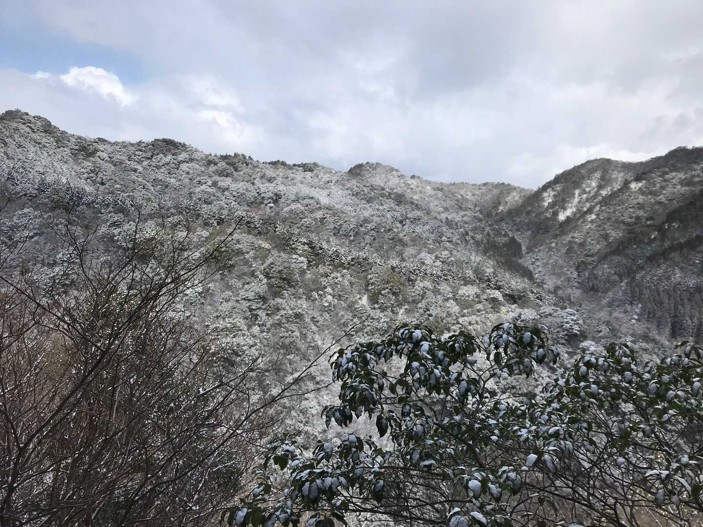 あそこを縦走してきましたね。