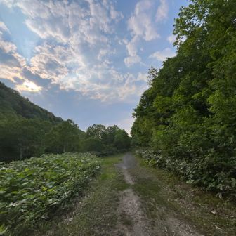 なんか足が疲れたね
やっぱり、ここは水の中をジャブジャブ行ったほうが楽だ