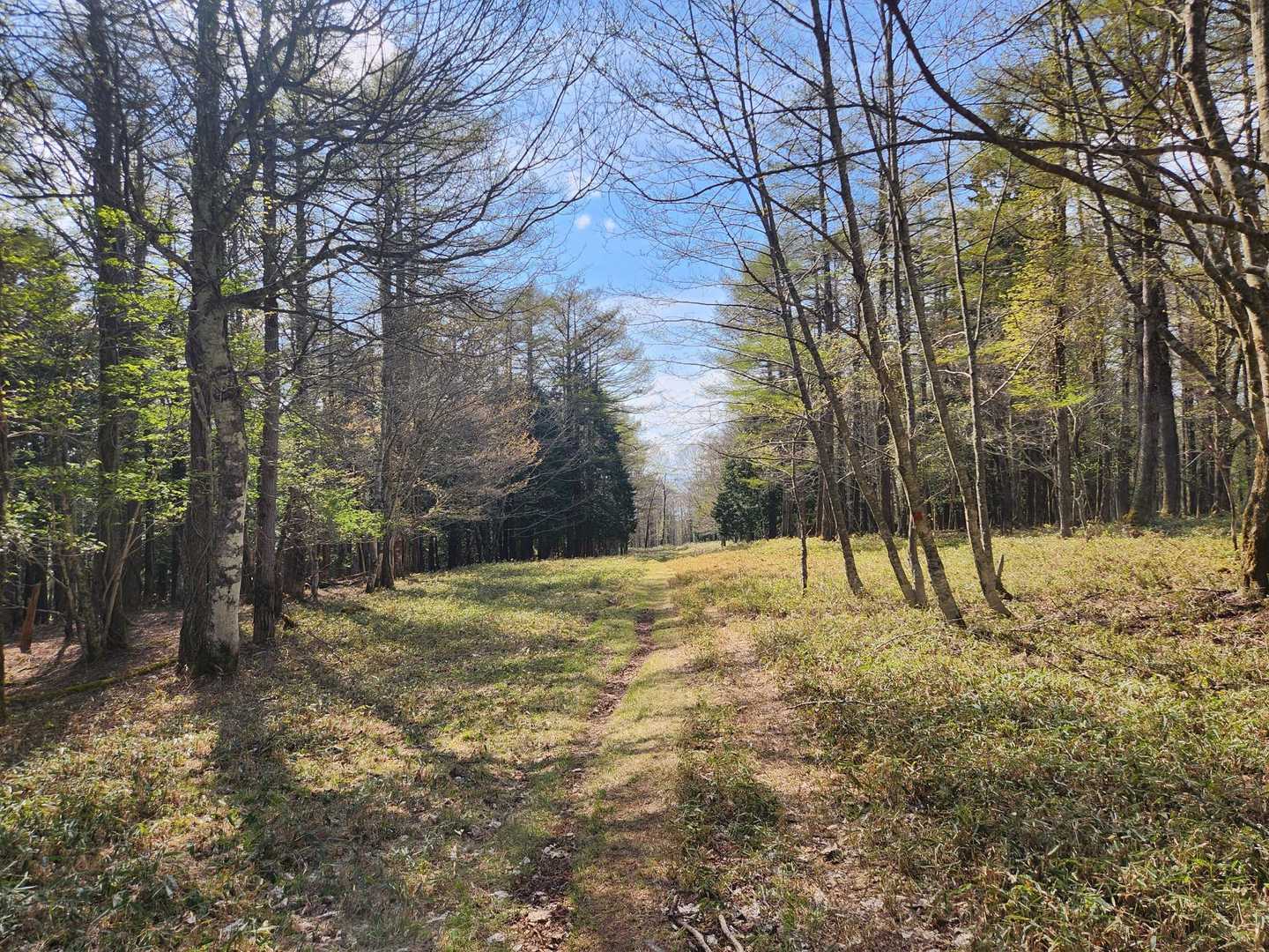本日もお疲れ山でした🙌