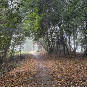 名残り惜しみつつ下山